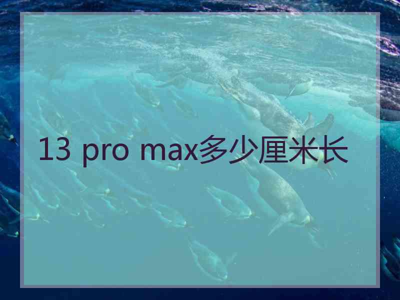 13 pro max多少厘米长