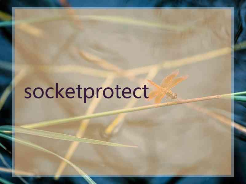 socketprotect