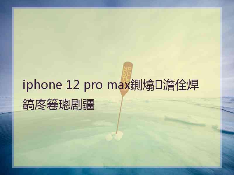 iphone 12 pro max鍘熻澹佺焊鎬庝箞璁剧疆