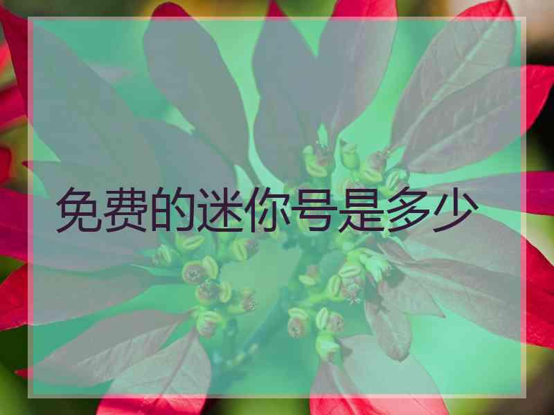 免费的迷你号是多少