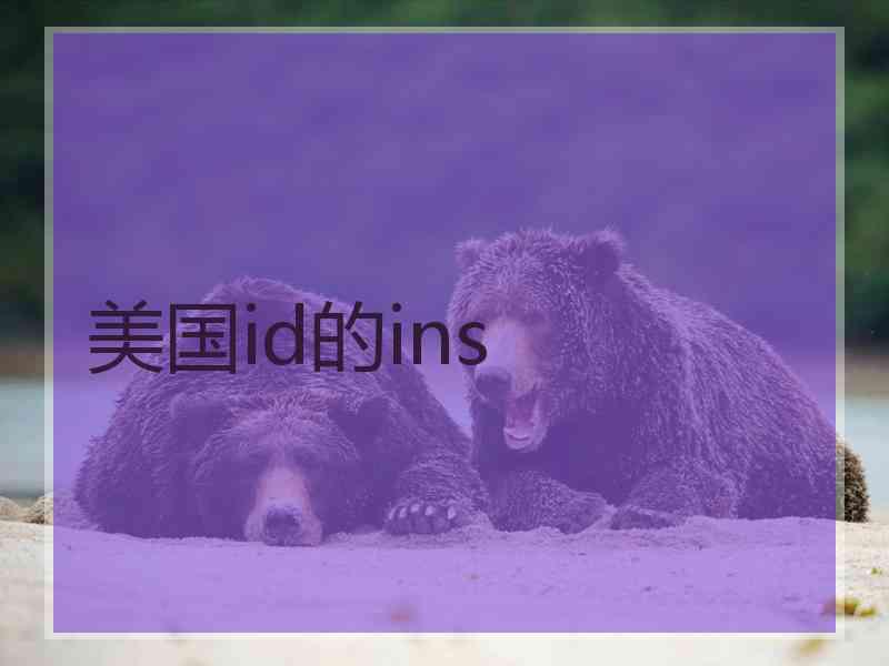 美国id的ins