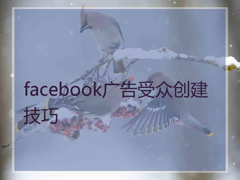 facebook广告受众创建技巧