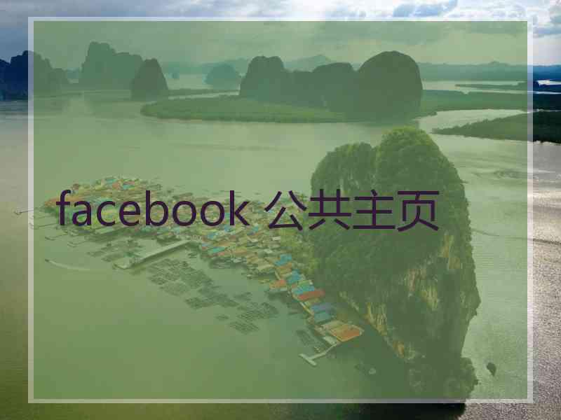 facebook 公共主页