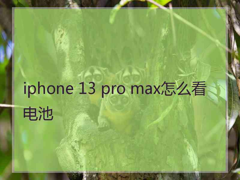 iphone 13 pro max怎么看电池