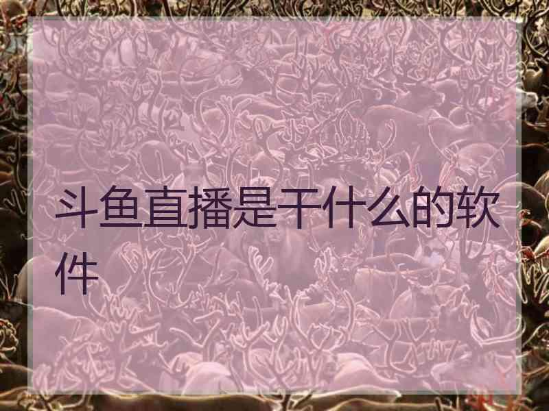 斗鱼直播是干什么的软件