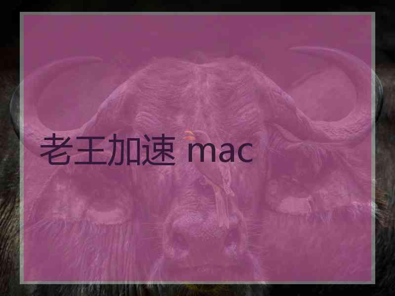 老王加速 mac