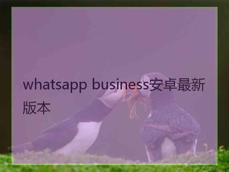 whatsapp business安卓最新版本