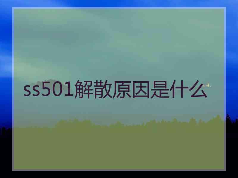 ss501解散原因是什么