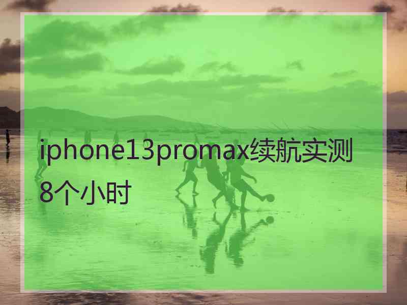 iphone13promax续航实测8个小时