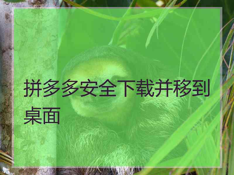 拼多多安全下载并移到桌面