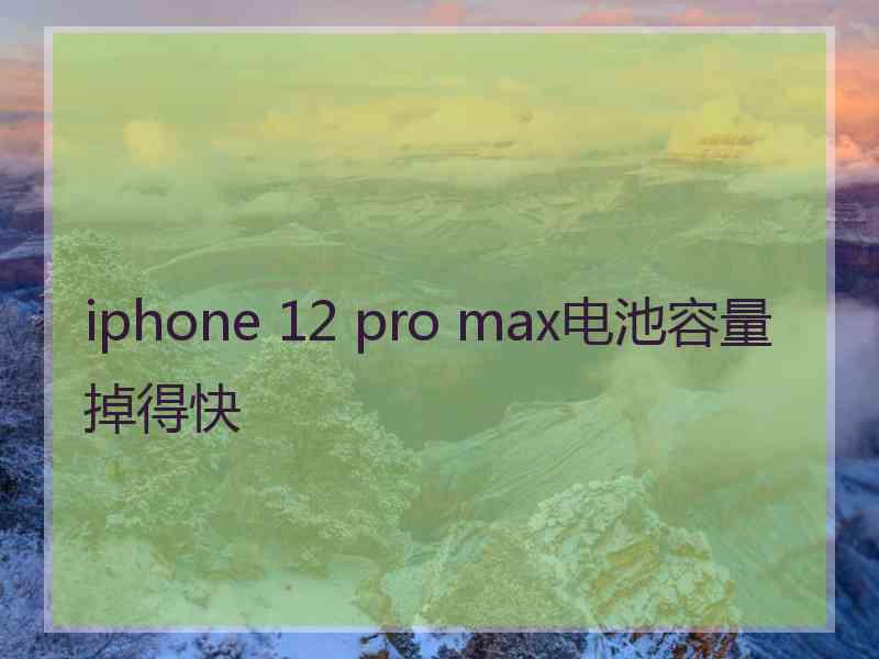 iphone 12 pro max电池容量掉得快