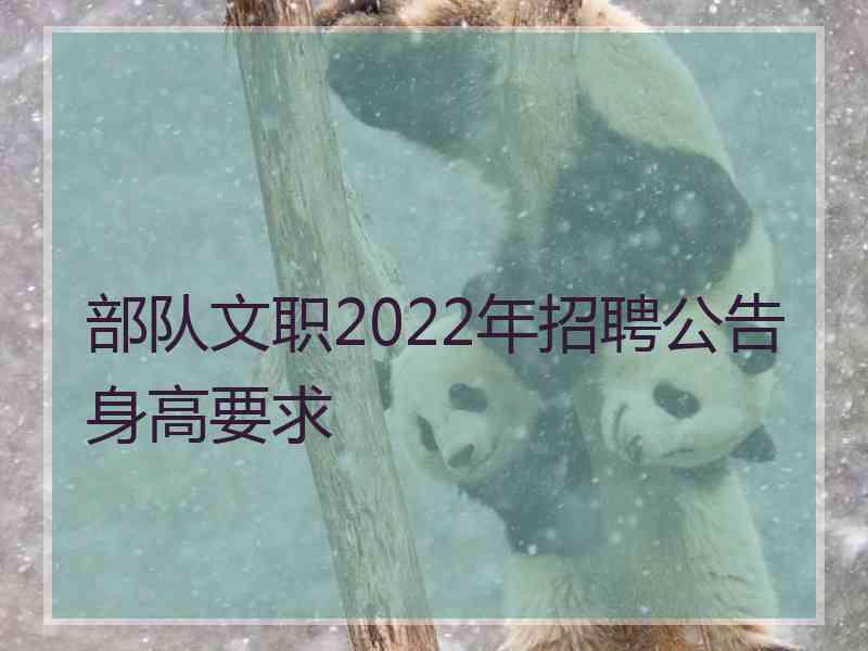 部队文职2022年招聘公告身高要求