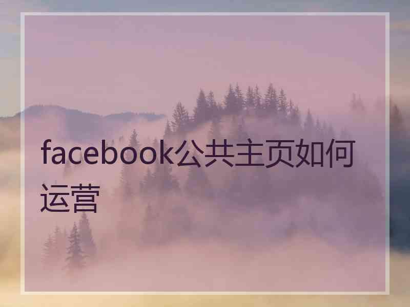 facebook公共主页如何运营