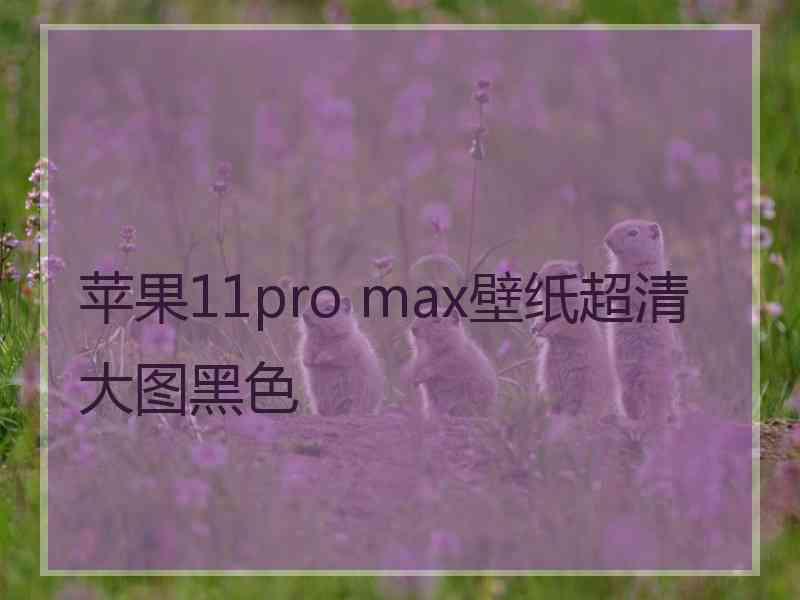 苹果11pro max壁纸超清大图黑色