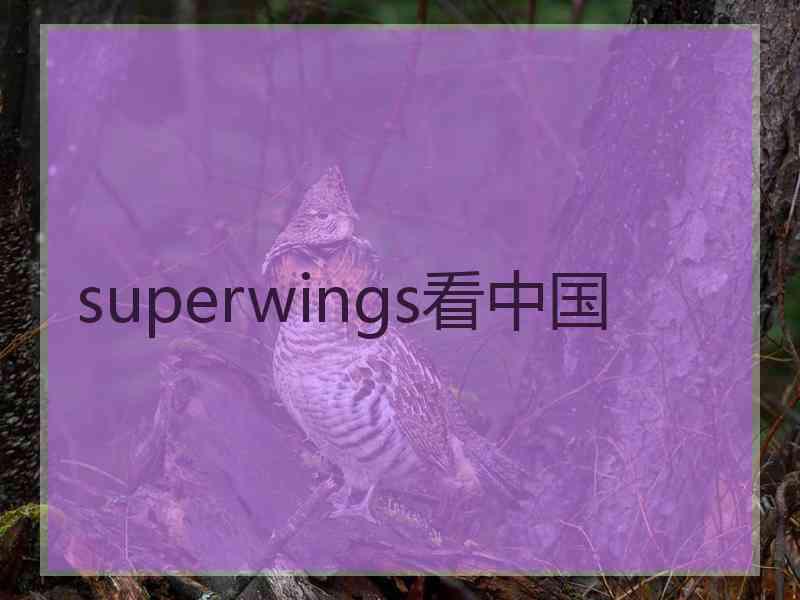 superwings看中国