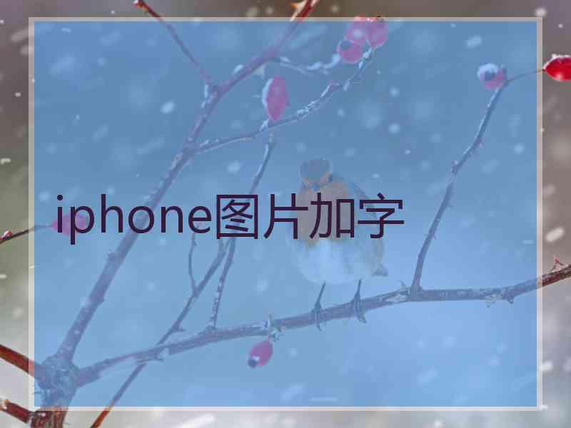 iphone图片加字