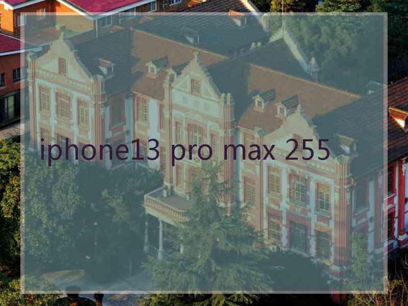 iphone13 pro max 255