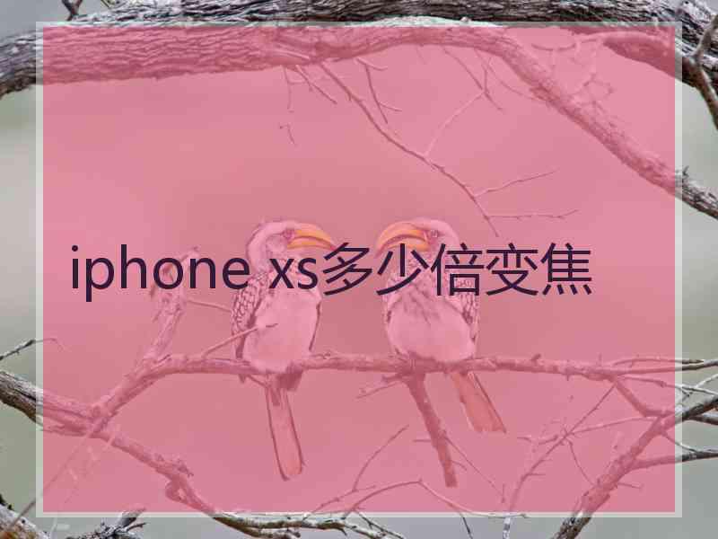 iphone xs多少倍变焦