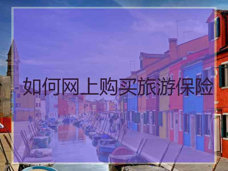 如何网上购买旅游保险