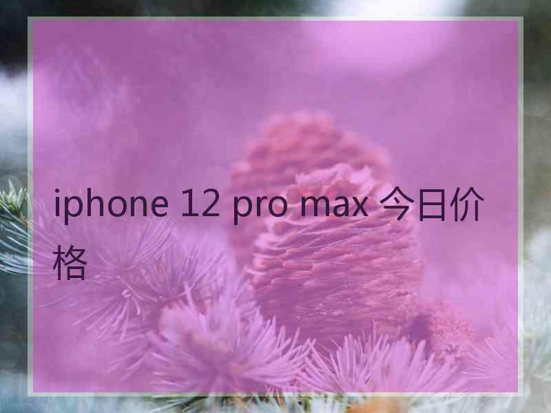 iphone 12 pro max 今日价格