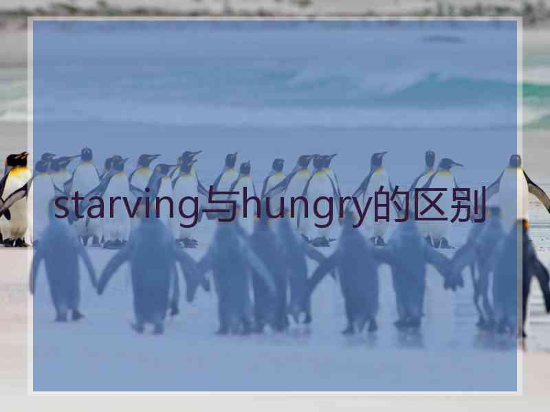 starving与hungry的区别