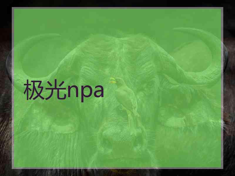 极光npa