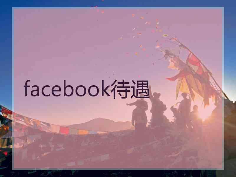 facebook待遇