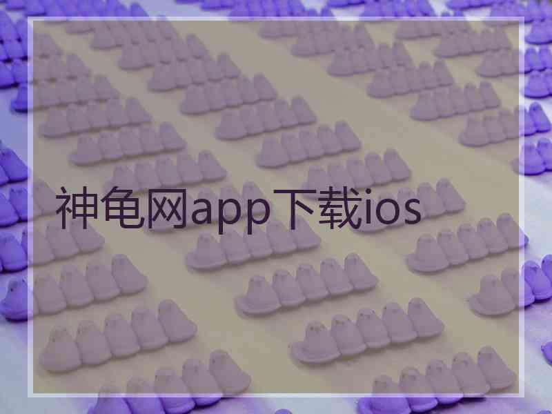 神龟网app下载ios