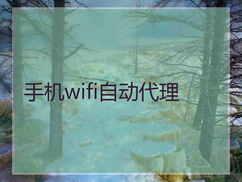 手机wifi自动代理