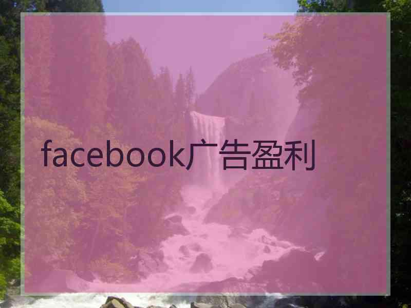 facebook广告盈利