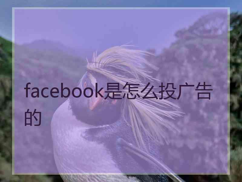 facebook是怎么投广告的