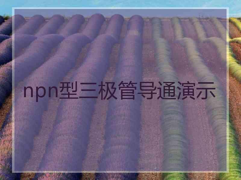 npn型三极管导通演示