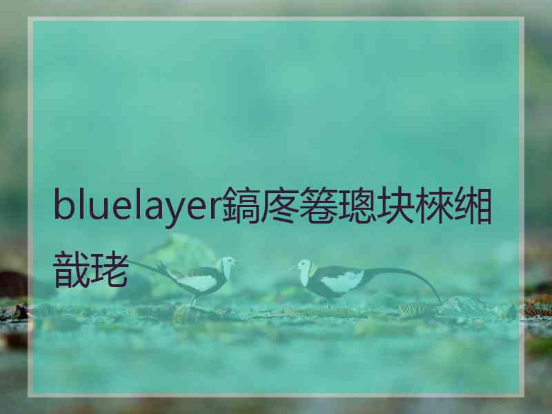 bluelayer鎬庝箞璁块棶缃戠珯