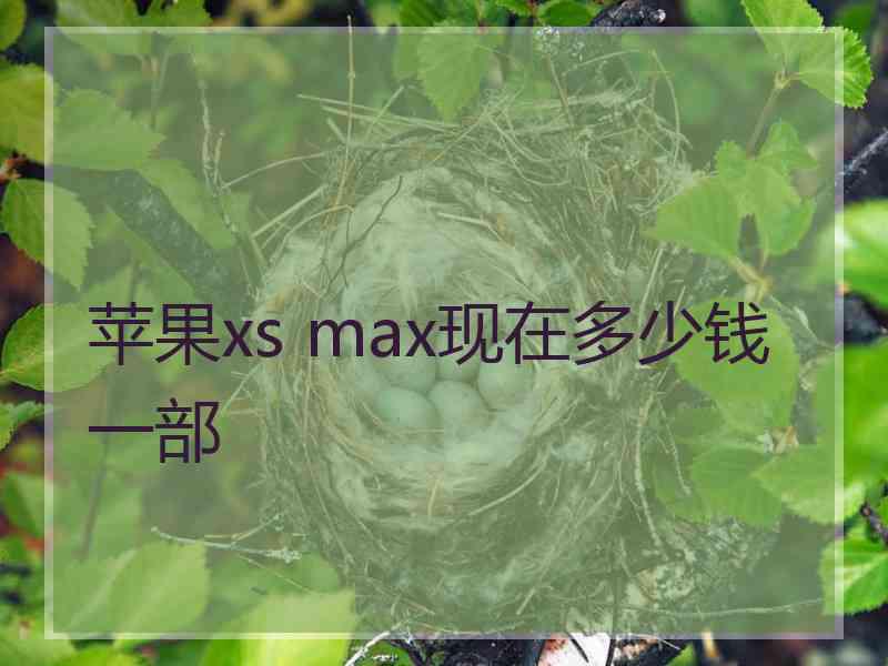 苹果xs max现在多少钱一部