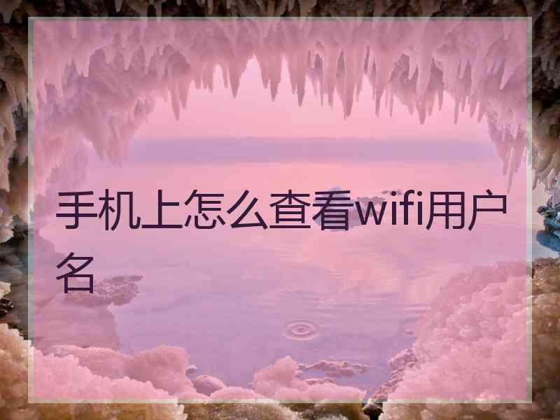 手机上怎么查看wifi用户名