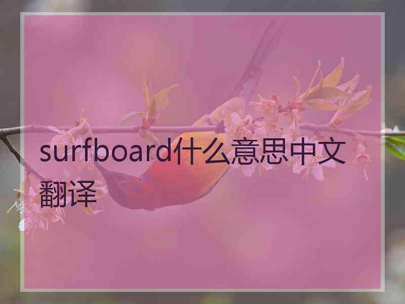 surfboard什么意思中文翻译