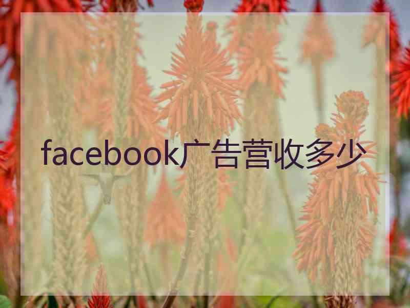 facebook广告营收多少