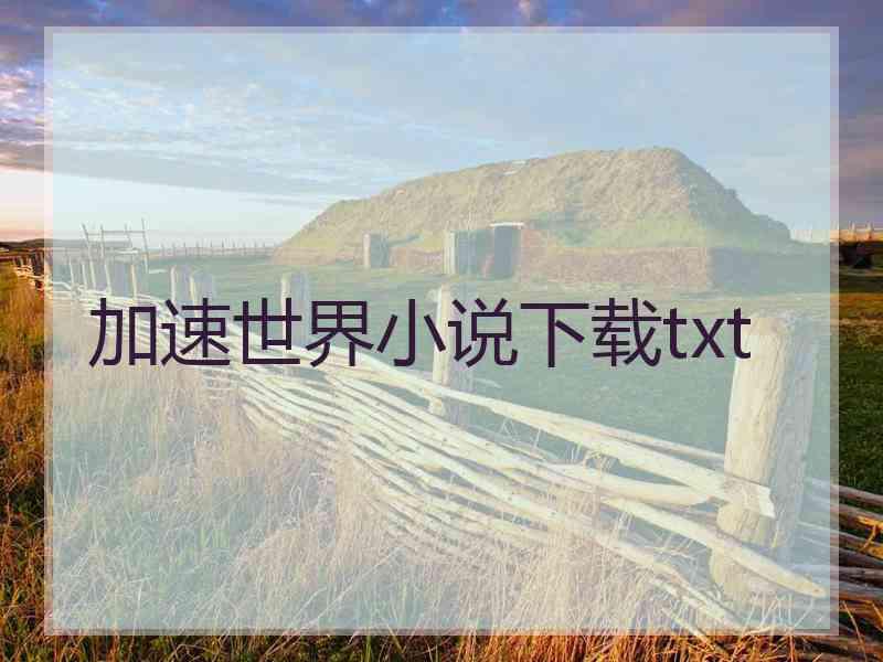 加速世界小说下载txt