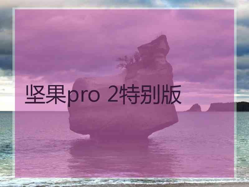 坚果pro 2特别版