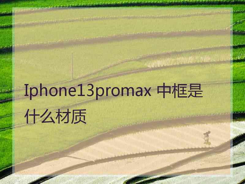 Iphone13promax 中框是什么材质