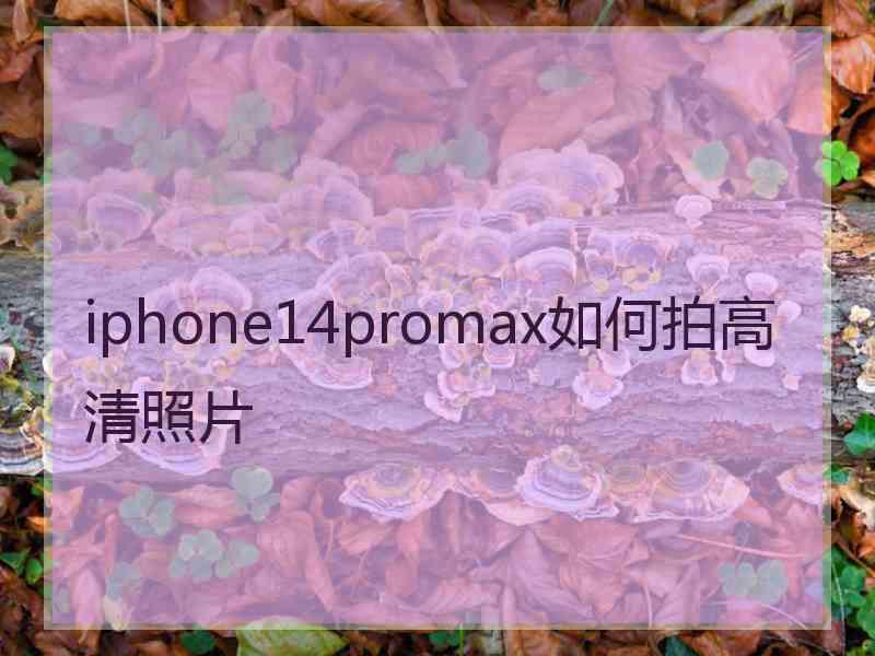 iphone14promax如何拍高清照片