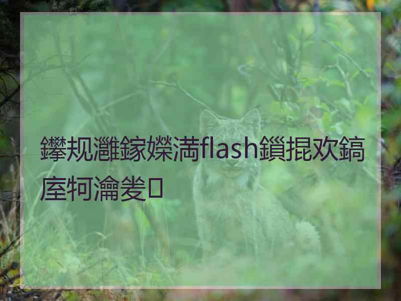 鑻规灉鎵嬫満flash鎻掍欢鎬庢牱瀹夎