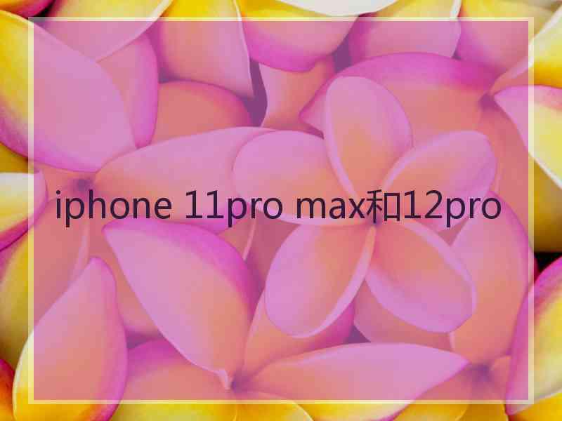 iphone 11pro max和12pro