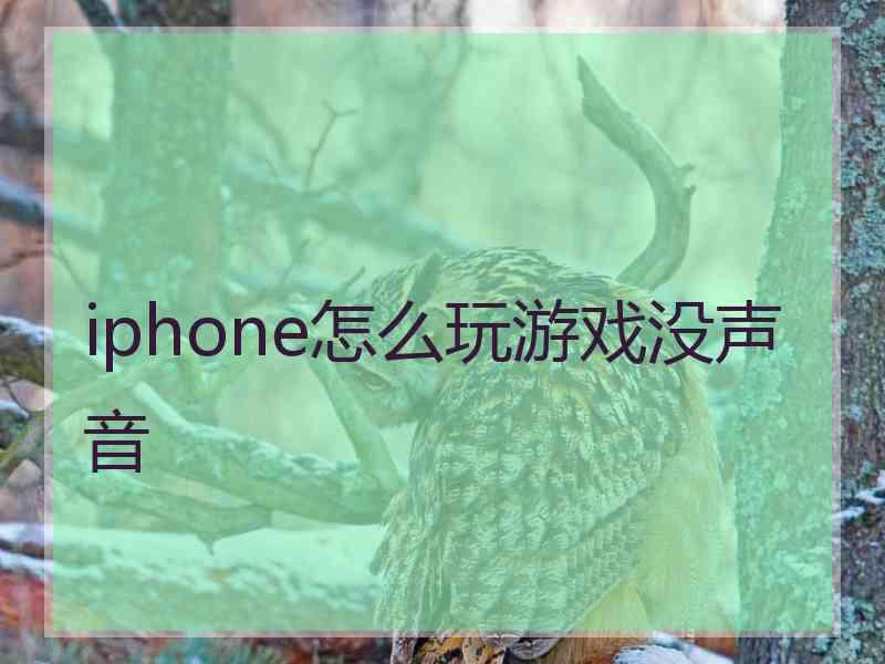 iphone怎么玩游戏没声音