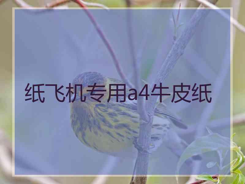 纸飞机专用a4牛皮纸