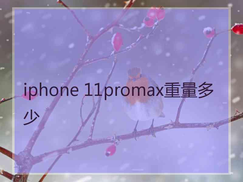 iphone 11promax重量多少