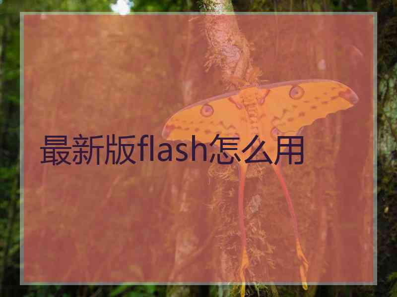 最新版flash怎么用