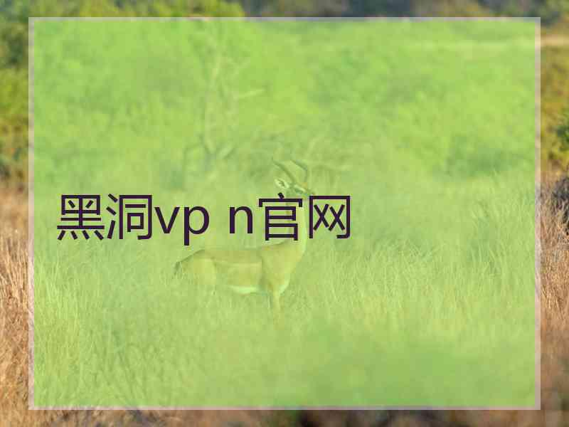 黑洞vp n官网