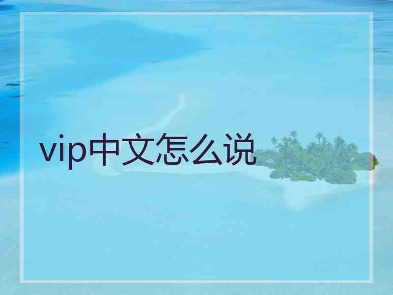 vip中文怎么说