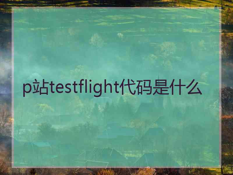 p站testflight代码是什么